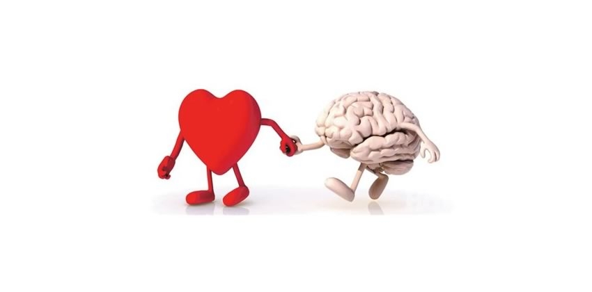 La neuroeducación demuestra que emoción y conocimiento van juntos